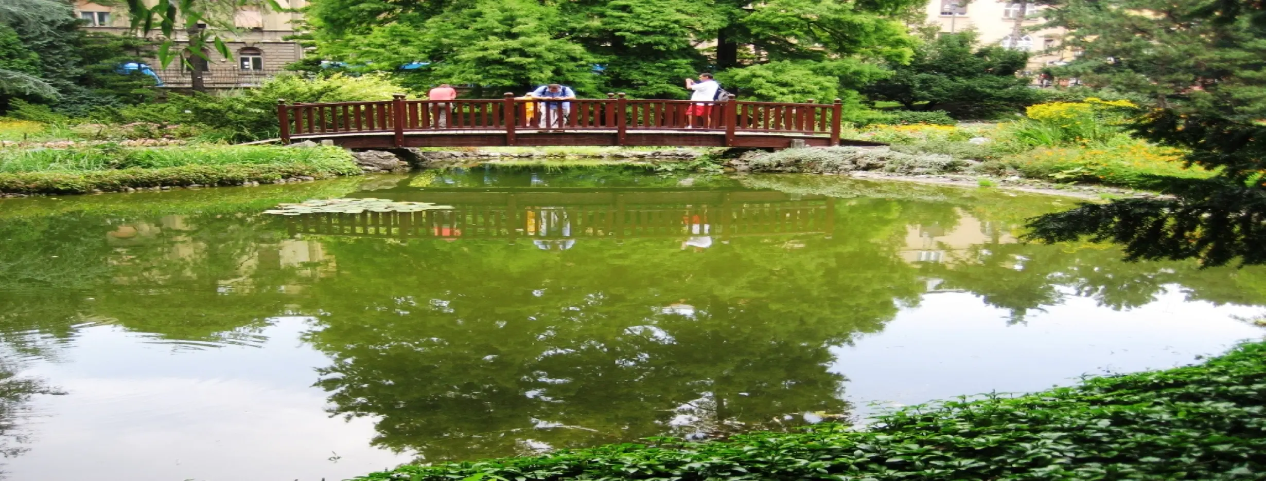 Image for Zagreb Botanical Garden